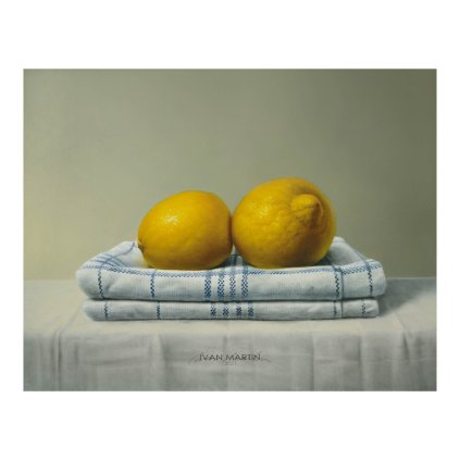 Martin Citrony 40x40