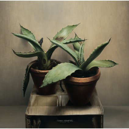 Screenshot 2026 01 17 at 12.28.20