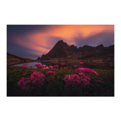 Hrebenda On Fire 40x30