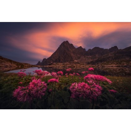 Filip Hrebenda | On Fire