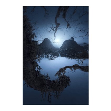 Hrebenda Octopus 30x40