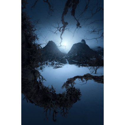 Filip Hrebenda | Octopus