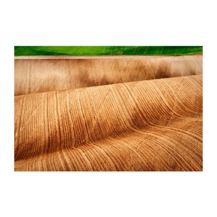 Herout Field Tsunami 40x30