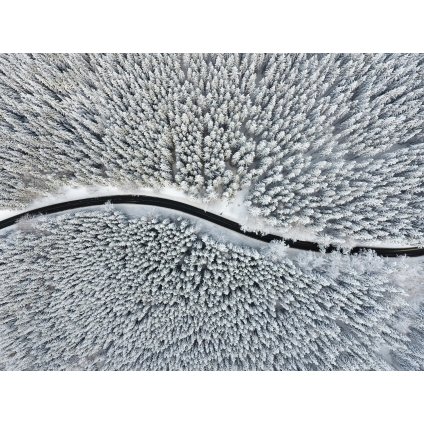 Neuwirth Mraziva Cesta