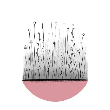 Wiederman Louka 20x30