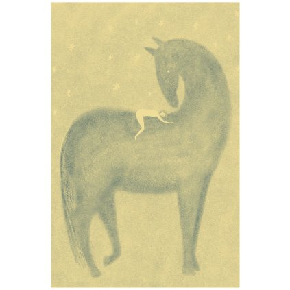 Sebkova V Mlze 20x30