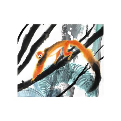 Coufalova Opice 40x30