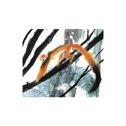 Coufalova Opice 30x20