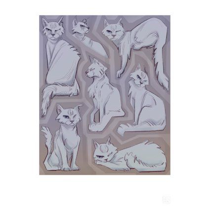 Talaber One Eye Cat 30x40