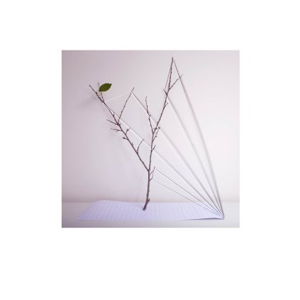 Kralova Reconstructed Diary 2 30x40