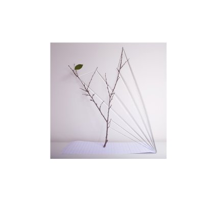 Kralova Reconstructed Diary 2 20x30