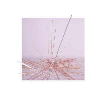 Kralova Reconstructed Diary 4 30x40