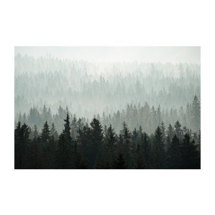 Mladkova Sumavske Lesy 60x40