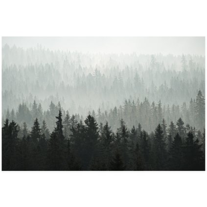 Mladkova Sumavske Lesy 30x20
