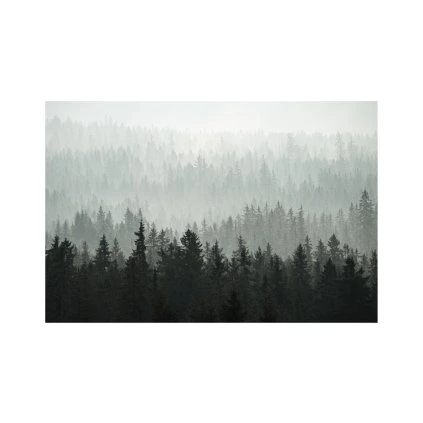 Mladkova Sumavske Lesy 60x40