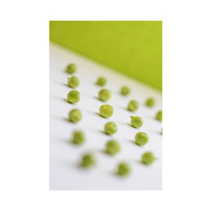 Drapakova Zeleny Rytmus 20x30