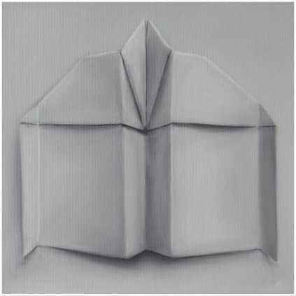 Vichrova Bila Sipka 40x40