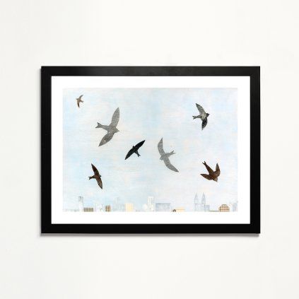 Tachezy Rorysi 40x30 cerny