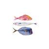 Strakova Rybky 30x40 dub