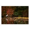 Hrebicek Silent Autumn Admirer 40x30