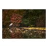 Hrebicek Silent Autumn Admirer 40x30