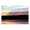 hrebicek through twilight cerna