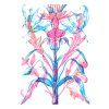 Senkerik Hybrid I Liliantaurea Centaureum 30x40