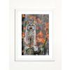 Slavik Maly lovec 30x40 bily