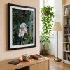 Vancurova Vazka 40x60 cerny vizu 2