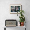 Radacovsky No Signal No2 40x30 dub vizu