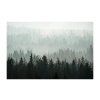 Mladkova Sumavske Lesy 60x40 cerny ram