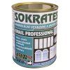 Sokrates-email-professional