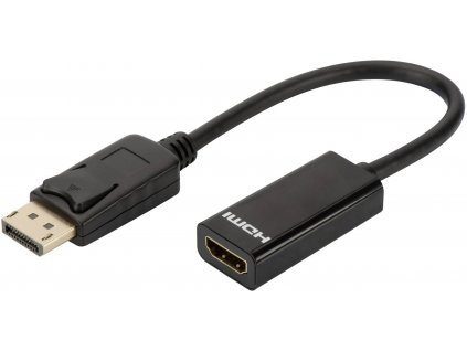 DisplayPort / HDMI adaptér