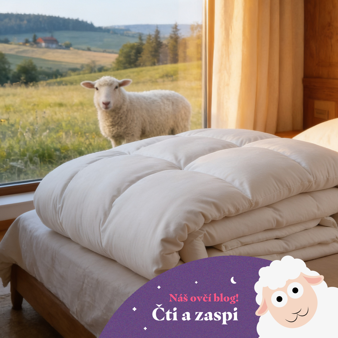 Proč investovat do vlněných lůžkovin