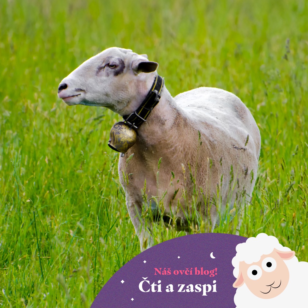 Když pastvina zpívá: Krátký příběh zvonečků pro ovečky