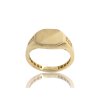 Zlatý pánský prsten, v. 69, 4,61 g, Au 585