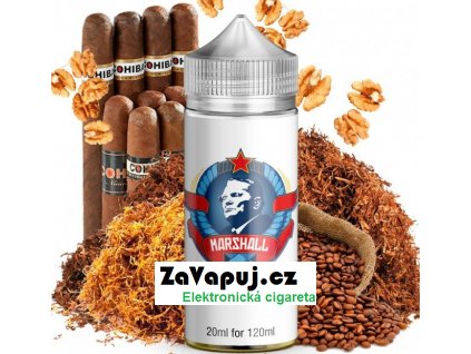 Příchuť Infamous Special Shake and Vape Marshall (Doutníkový tabák s oříškem) 20ml