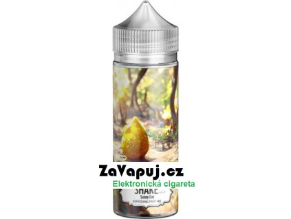 Příchuť AEON SHAKE ART Shake and Vape 24ml Sunny Day