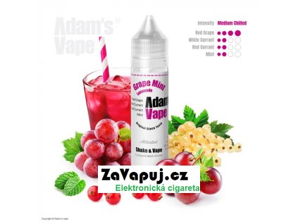 prichut adams vape shake and vape 10ml grape mint lemonade