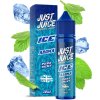 prichut just juice sv 10ml ice pure mint