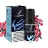 dreamix chladive lesni plody frozen berry
