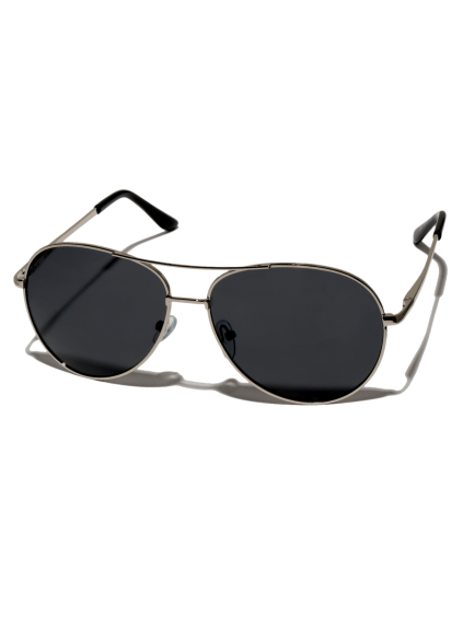 DLL208 stribrna 1