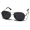 DLL208 stribrna 1