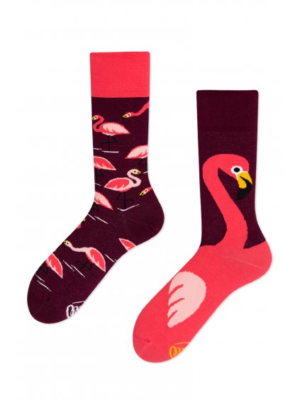 ponožky plamenák