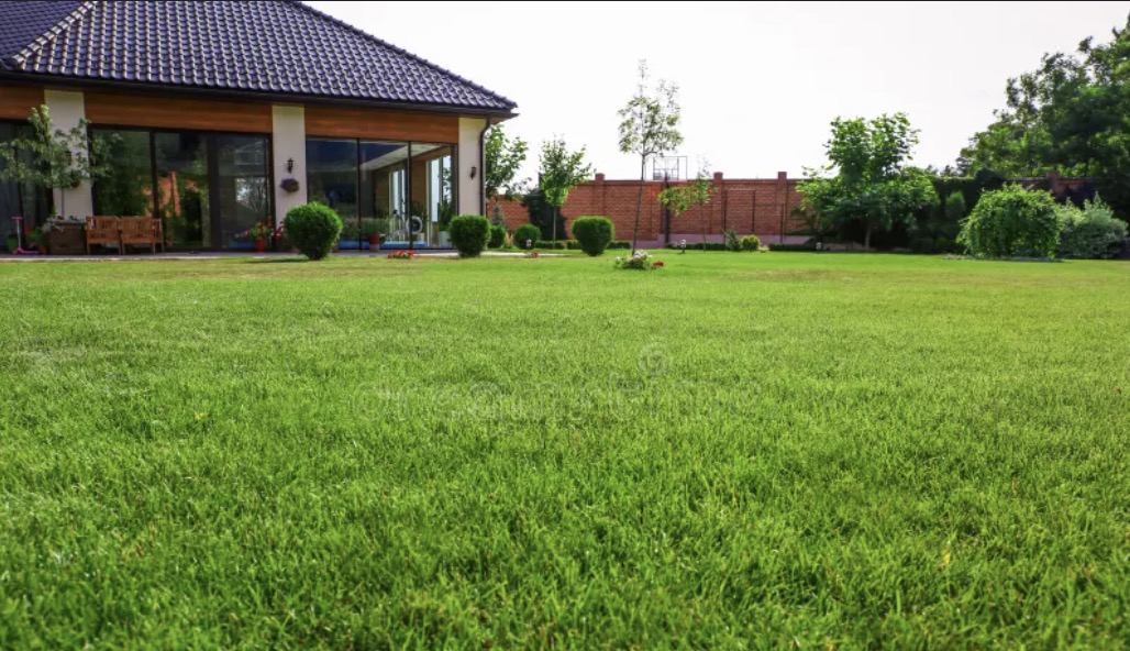 Vertikutácia a prevzdušňovanie trávnika – kompletný sprievodca