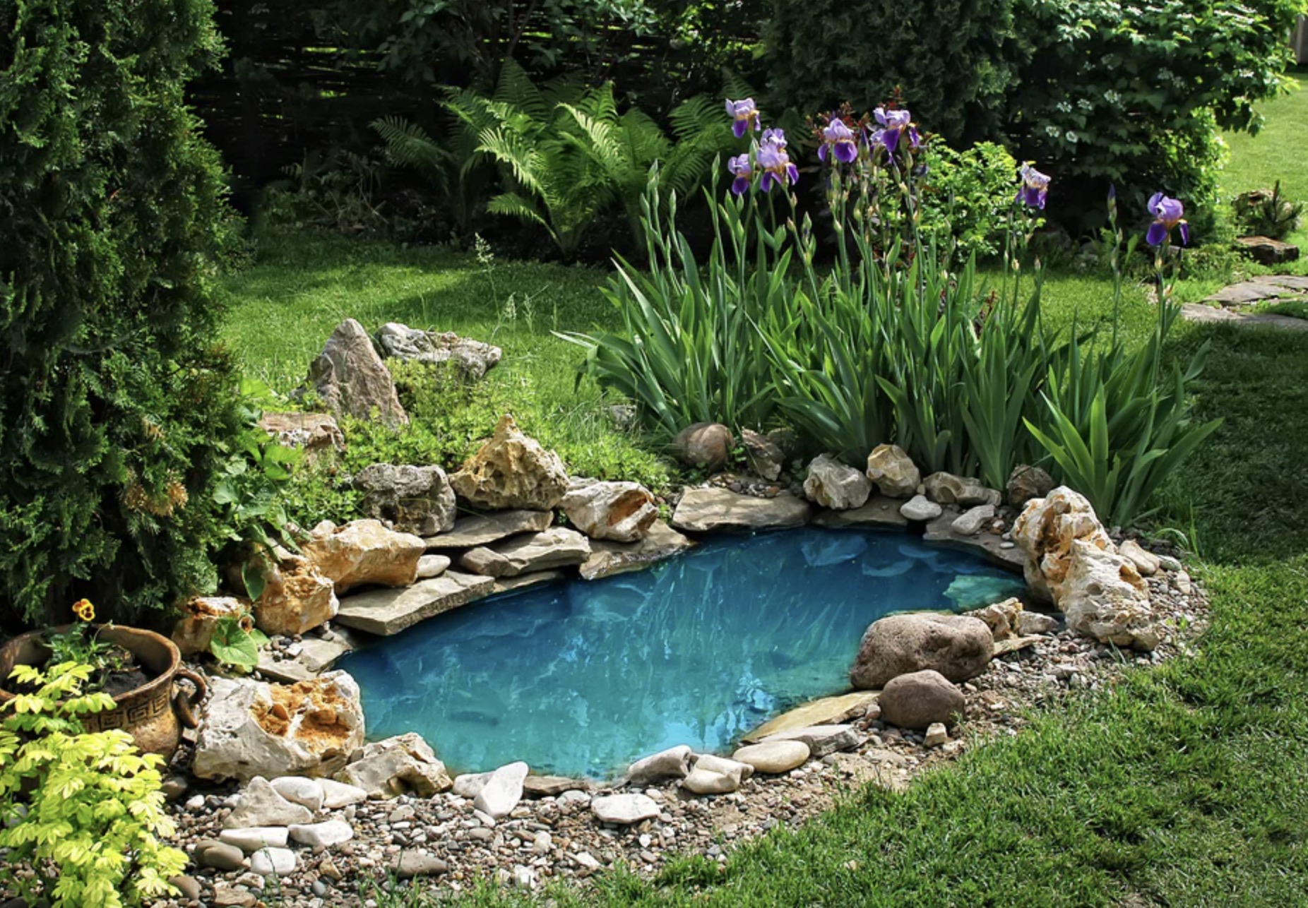 Tajomstvo dokonalého jazierka: Ako udržať vodu krištáľovo čistú a jazierko plné života