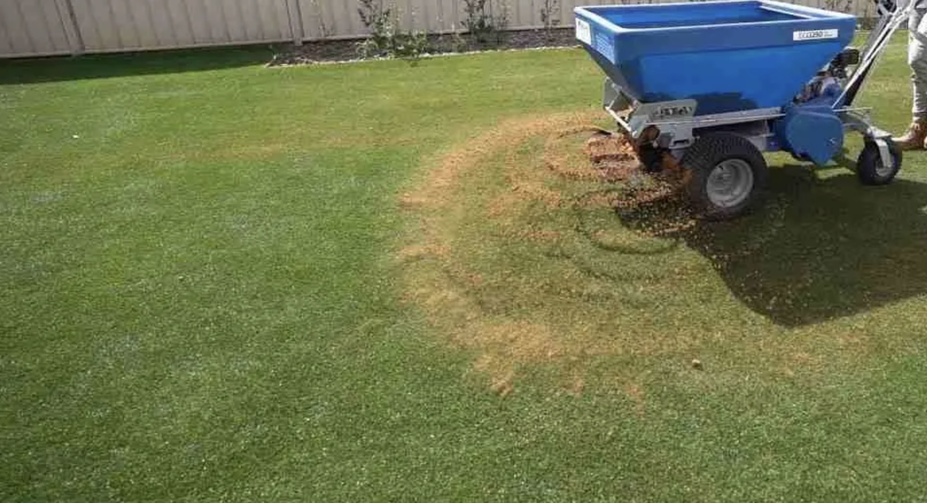 Ako na pieskovanie trávnika, ktoré prinesie viditeľné výsledky