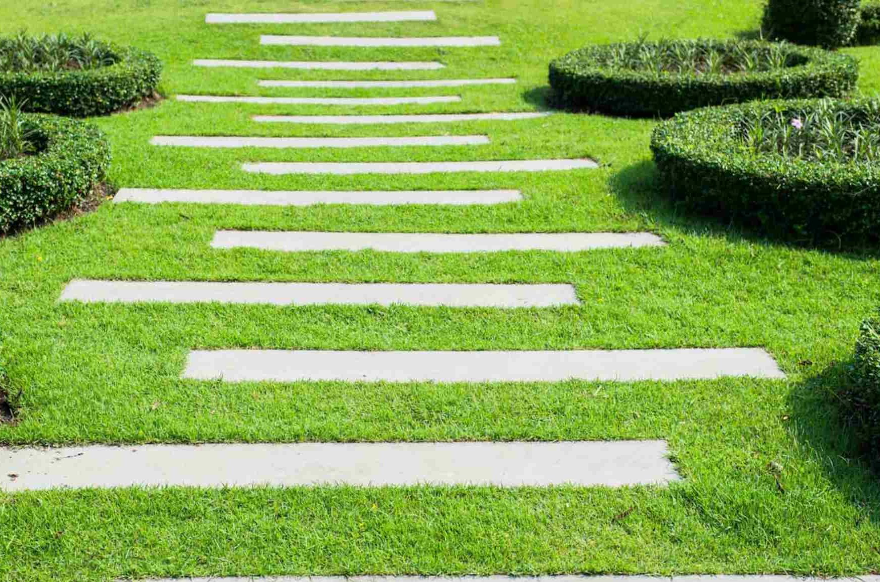 Chodník v tráve: Praktický aj estetický prvok záhrady, ktorý má väčší význam, než si myslíte