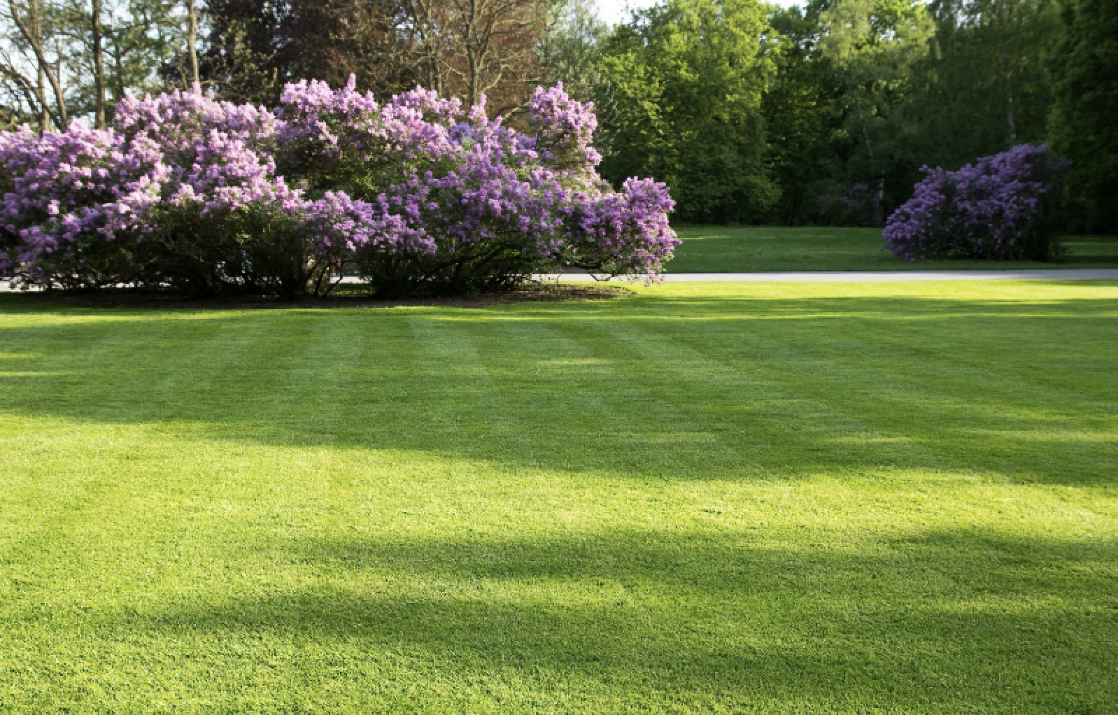 Jarná starostlivosť o trávnik: Kompletný sprievodca pre zdravý a krásny trávnik