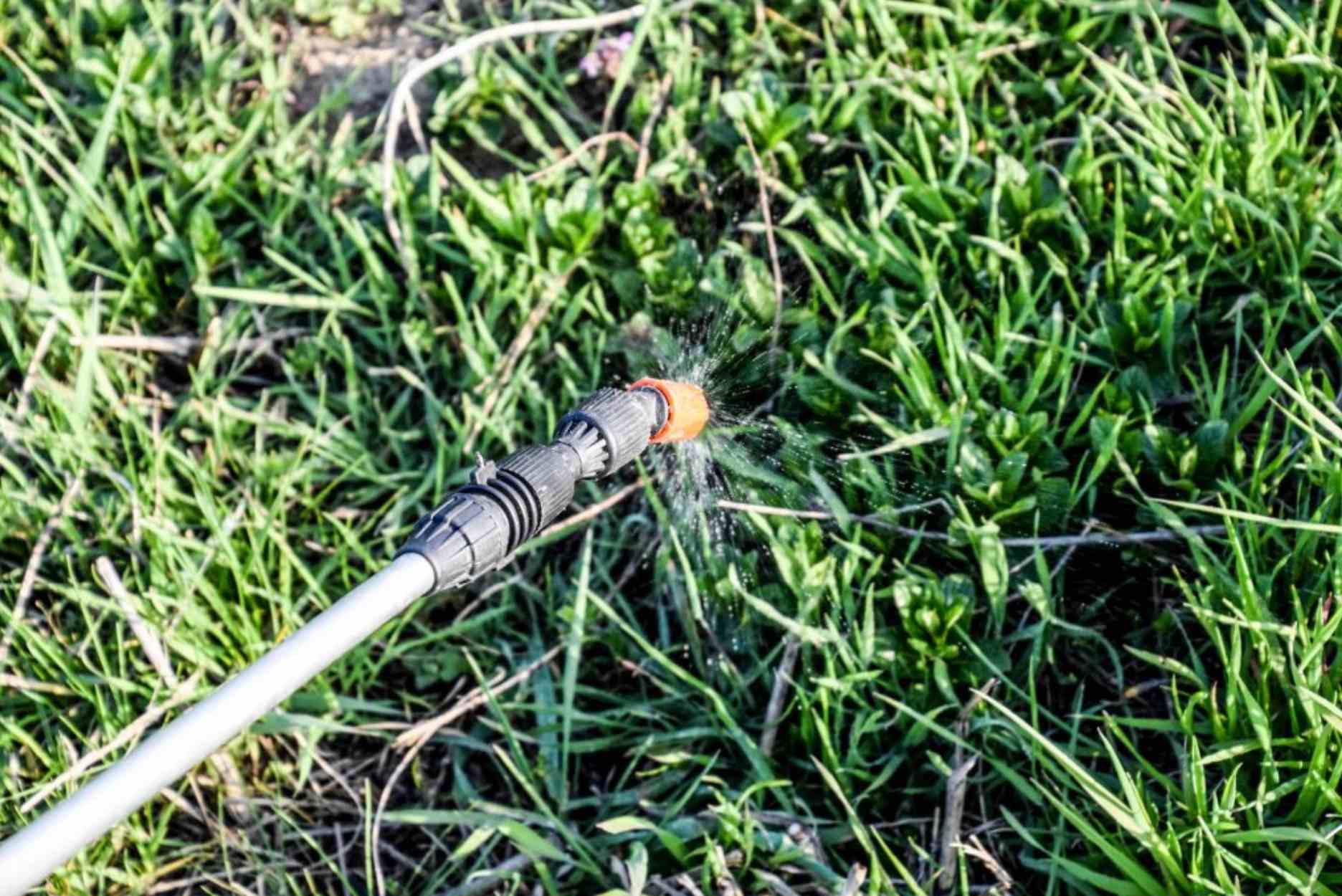 Ako aplikovať Askon na trávnik: Jednoduchý postup krok za krokom